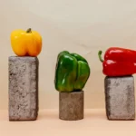 Tofu, tempeh et seitan : origine, protéines et façons de les cuisiner