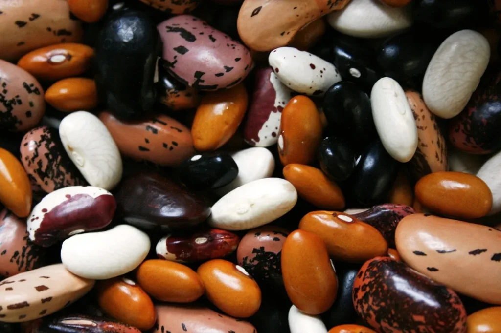 Lentilles corail, pois chiches, haricots blancs et rouges, pois cassés : chaque légumineuse a son propre temps de trempage et de cuisson